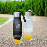 Portable fruit water bottle