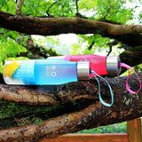 Portable fruit water bottle